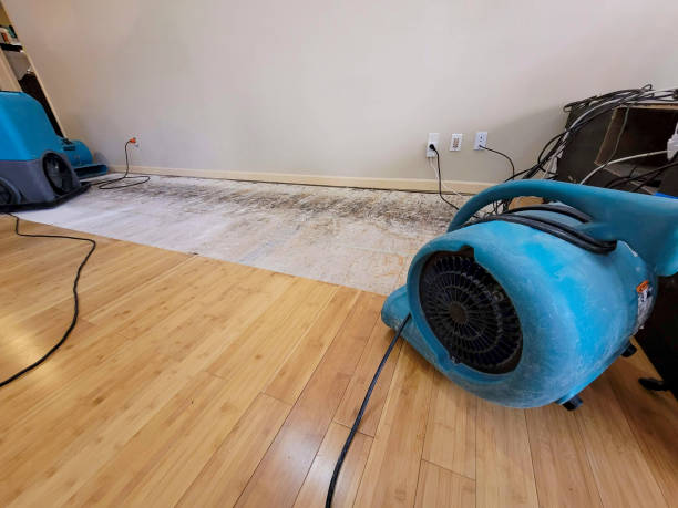 Professional Sewage Cleanup technician working in Big Creek, WV
